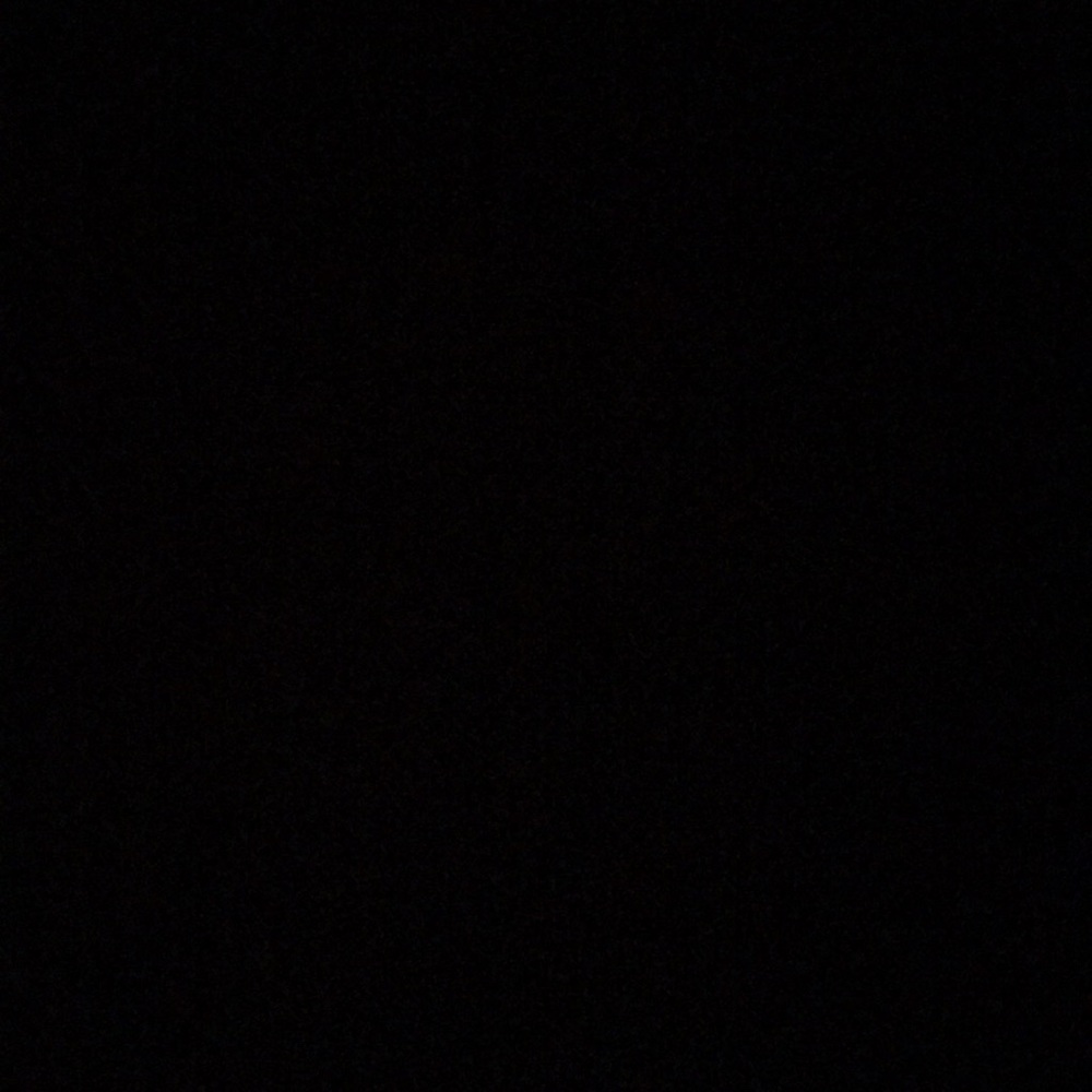 Meet your Posher, Bailey